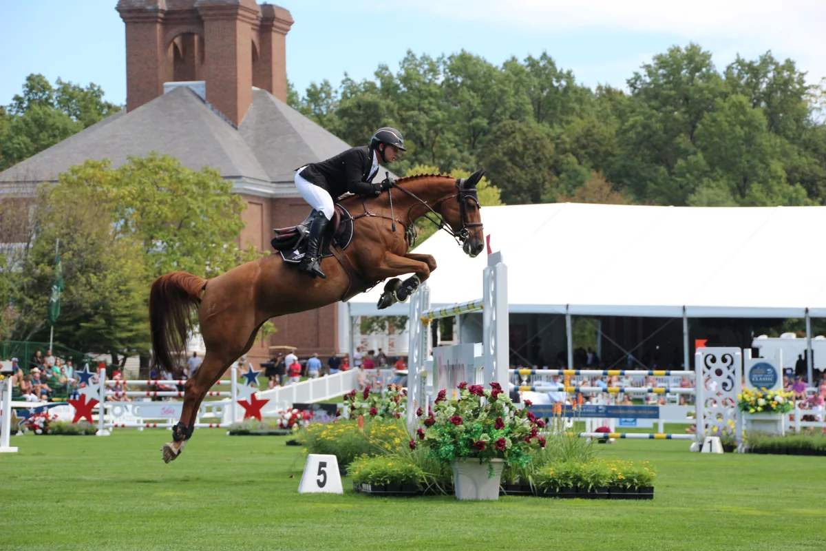 Cavalo e cavaleiro saltando um obstáculo em uma prova de hipismo