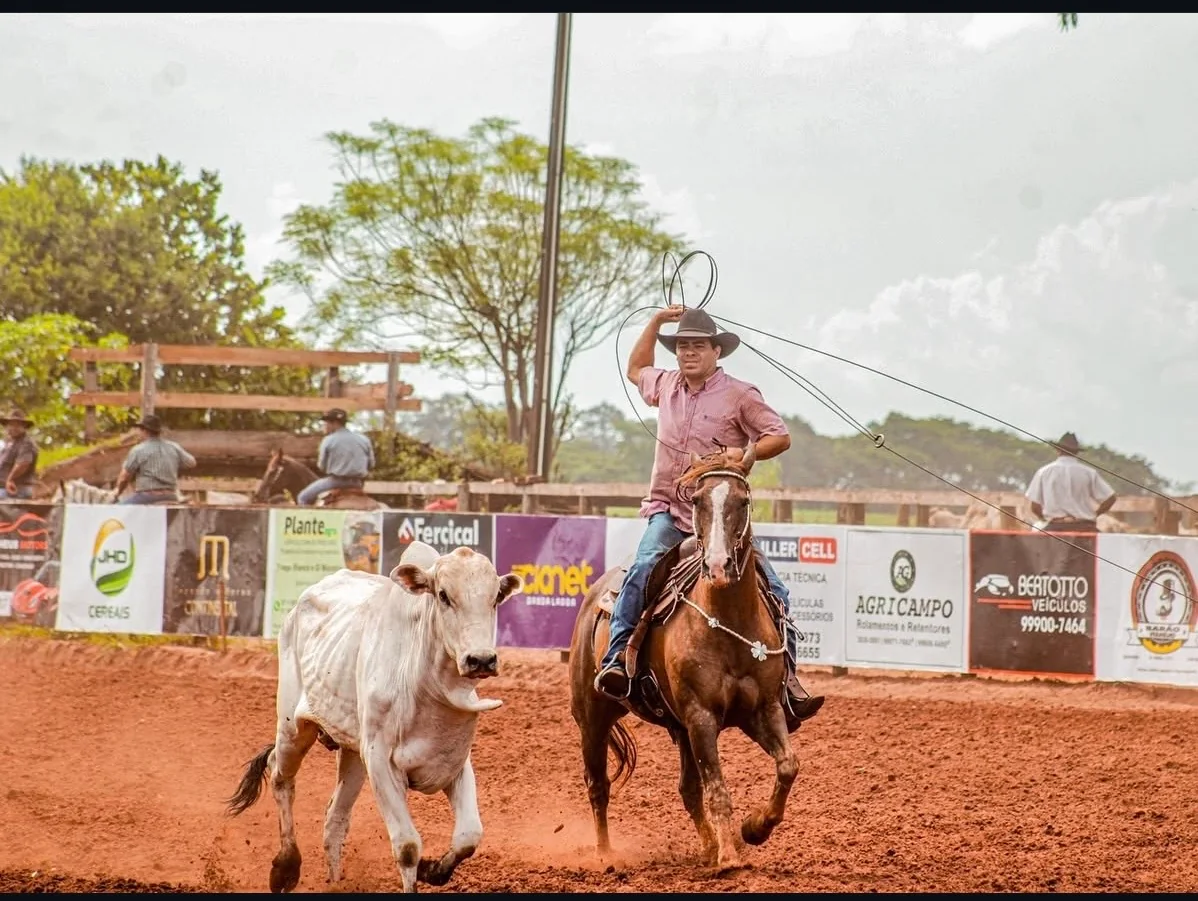 Cavaleiro com o laço erguido, montado a cavalo ao lado de um bovino em prova de laço comprido