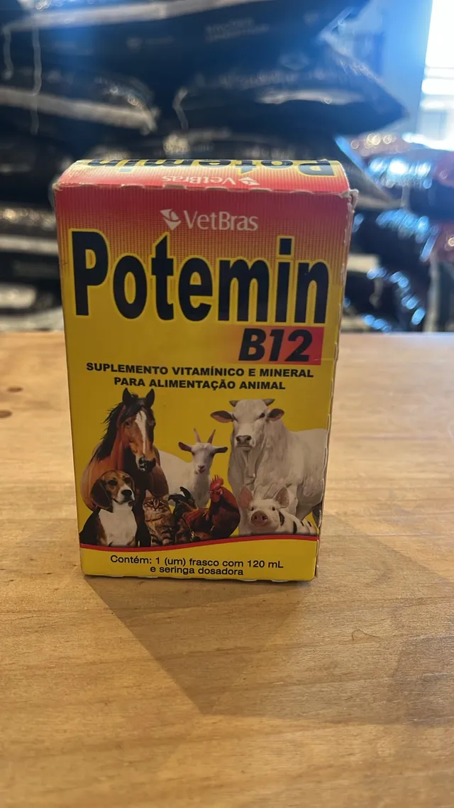 Foto de Potemin B12