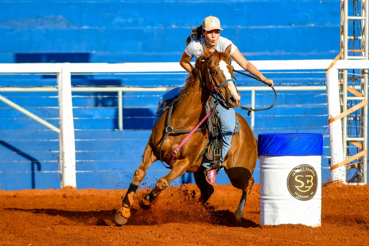 Cavalo e amazona em uma prova equestre